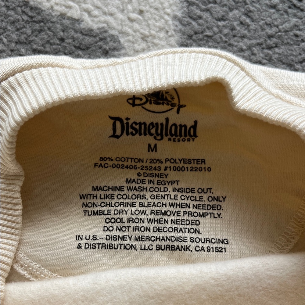 Disneyland Resort Fall Pumpkin Spice Sweater - Picture 3 of 4